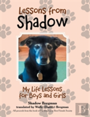Lessons From Shadow