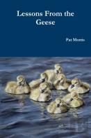 Lessons From The Geese