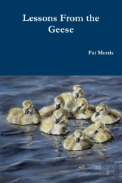 Lessons From The Geese