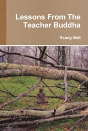 Lessons From The Teacher Buddha