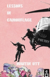 Lessons In Camouflage