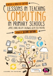 Lessons In Teaching Computing In Primary Schools