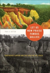 Let Us Now Praise Famous Gullies