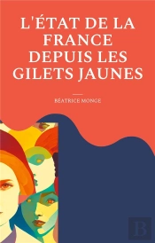 L'État De La France Depuis Les Gilets Jaunes : Revendications, Démocratie, Argent , Travail, Justice, Liberté, Crises