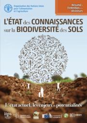 L'Etat Des Connaissances Sur La Biodiversite Des Sols
