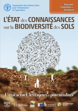 Bertrand.pt - L'Etat Des Connaissances Sur La Biodiversite Des Sols