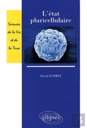 L'État Pluricellulaire