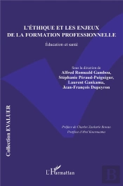 L'Éthique Et Les Enjeux De La Formation Professionnelle : Éducation Et Santé