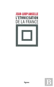 L'Ethnicisation De La France