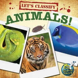 Bertrand.pt - Let'S Classify Animals!