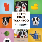 Let'S Find Yaya And Boo At Home!