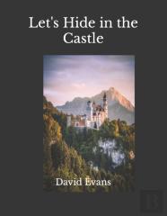 Let'S Hide In The Castle