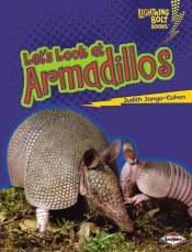 Let'S Look At Armadillos