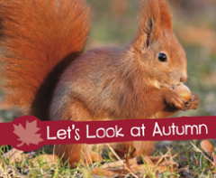 Let'S Look At Autumn