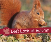 Let'S Look At Autumn