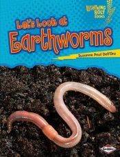 Let'S Look At Earthworms