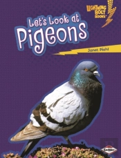 Let'S Look At Pigeons