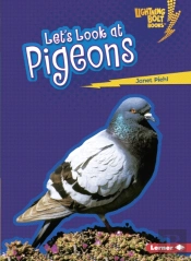 Let'S Look At Pigeons
