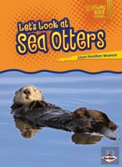Let'S Look At Sea Otters