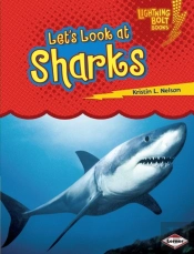 Let'S Look At Sharks