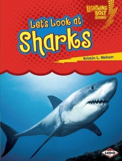Bertrand.pt - Let'S Look At Sharks