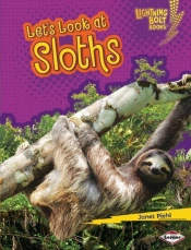 Let'S Look At Sloths