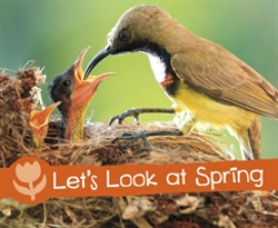 Bertrand.pt - Let'S Look At Spring