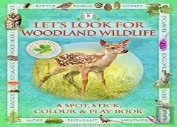 Let'S Look For Woodland Wildlife