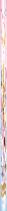 Let'S Meet Taylor