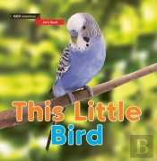 Let'S Read: This Little Bird