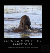 Let'S Swim With The Elephants