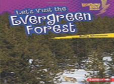 Let'S Visit The Evergreen Forest
