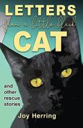 Letters From A Little Black Cat