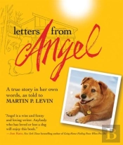 Letters From Angel