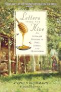 Letters From The Hive