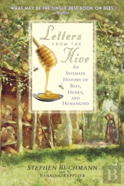 Letters From The Hive
