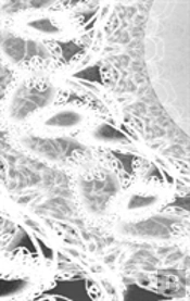 Letters To Myself Journal - Black And White Wedding Lace