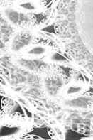 Letters To Myself Journal - Black And White Wedding Lace