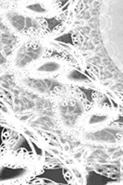 Letters To Myself Journal - Black And White Wedding Lace