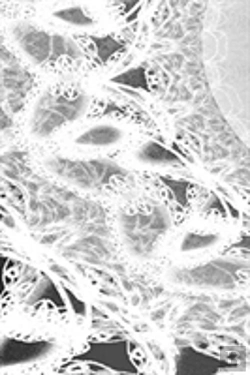 Bertrand.pt - Letters To Myself Journal - Black And White Wedding Lace