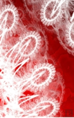 Bertrand.pt - Letters To Myself Journal - White Lace On Red Metal
