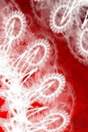 Letters To Myself Journal - White Lace On Red Metal