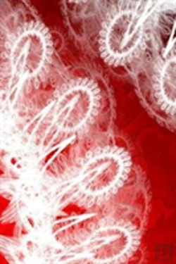 Bertrand.pt - Letters To Myself Journal - White Lace On Red Metal