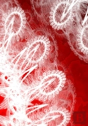 Letters To Myself Journal - White Lace On Red Metal