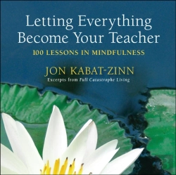 Bertrand.pt - Letting Everything Become Your Teacher