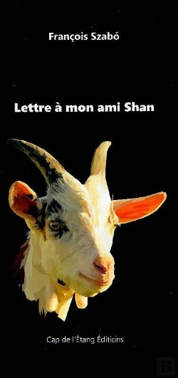 Bertrand.pt - Lettre À Mon Ami Shan