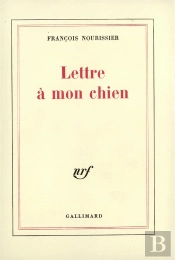 Lettre A Mon Chien