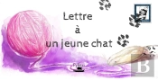 Lettre A Un Jeune Chat