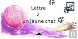 Bertrand.pt - Lettre A Un Jeune Chat