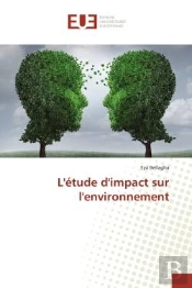 L'Etude D'Impact Sur L'Environnement